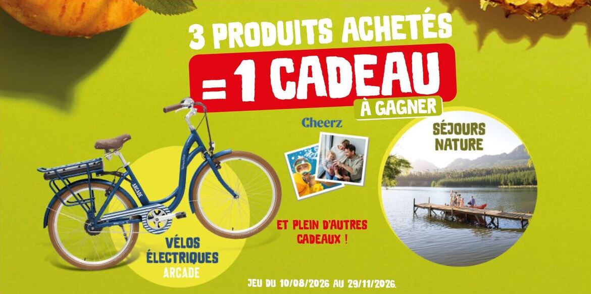 Développement d'un jeu concours en ligne pour Andros